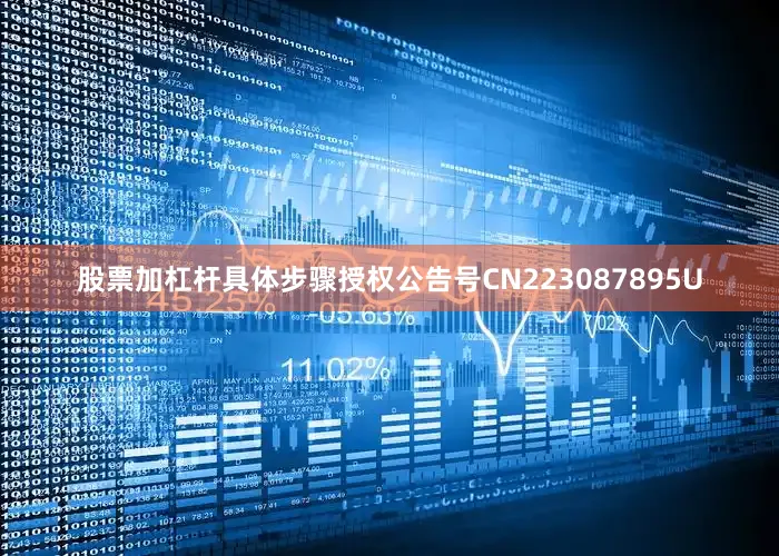 股票加杠杆具体步骤授权公告号CN223087895U