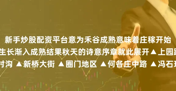 新手炒股配资平台意为禾谷成熟意味着庄稼开始结果孕籽万物从繁茂生长渐入成熟结果秋天的诗意序章就此展开▲上园路 ▲永安路 ▲冯村沟 ▲新桥大街 ▲圈门地区 ▲何各庄中路 ▲冯石环路来源：门头沟融媒记者：李剑韬编辑：闫菲点亮「推荐」 永不失联发布于：北京市
