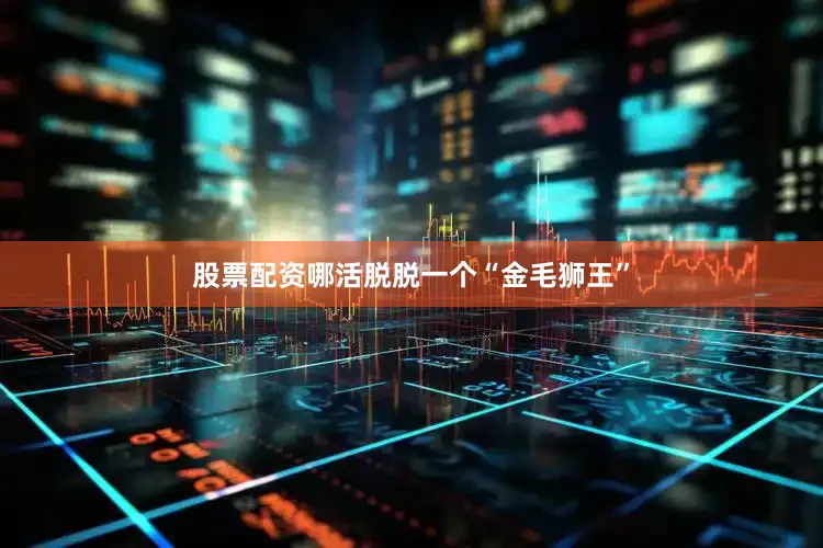 股票配资哪活脱脱一个“金毛狮王”